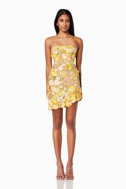 New Age Mini Dress