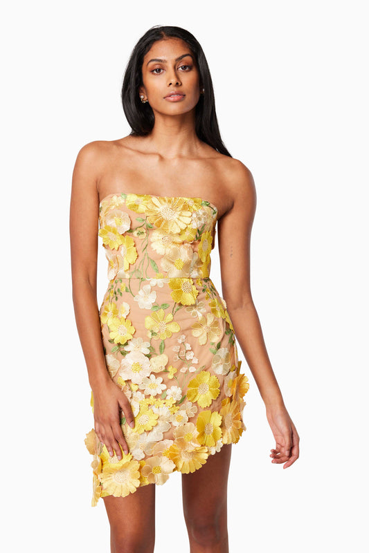New Age Mini Dress